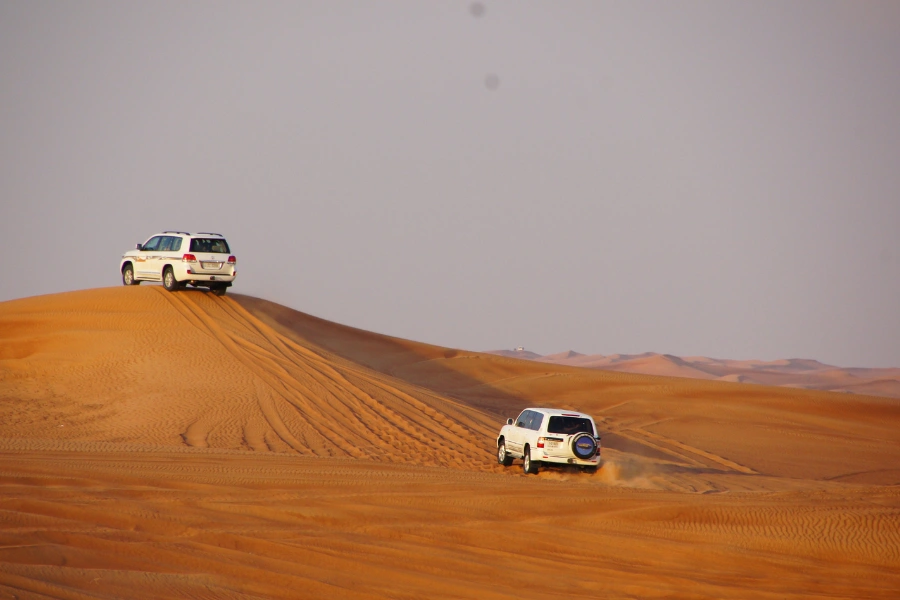 dubai-turlar-col-safarisi-1